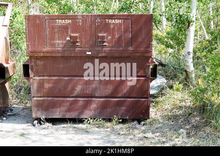 Porter des poubelles à l'épreuve dans un terrain de camping de l'est de la Sierra Nevada, Californie ; États-Unis Banque D'Images