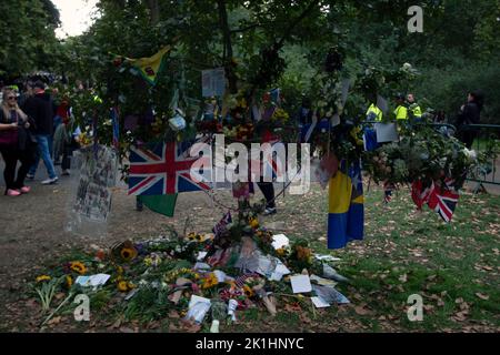 Drapeau de l'Union aux côtés du drapeau de l'Ukraine suspendu d'un arbre à Green Park, partie des hommages laissés à la reine Elizabeth 2nd, 18 septembre 2022 Londres UK Banque D'Images