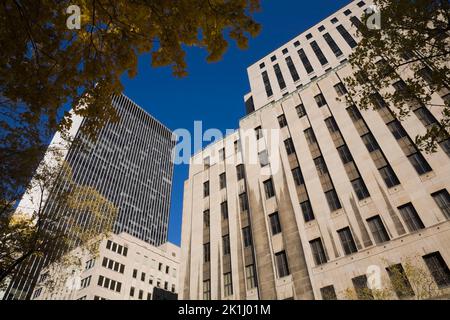 Gratte-ciel modernes et anciens à travers des branches d'arbres en automne, Québec, Canada. Banque D'Images