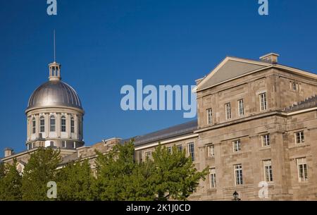 Construction du marché Bonsecours à travers des arbres à feuilles caduques au printemps, Vieux-Montréal, Québec, Canada. Banque D'Images