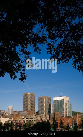 Complexes Desjardins et Hydro Québec bâtis à travers des branches d'arbres feuillus silhouettés au printemps, Montréal, Québec, Canada. Banque D'Images