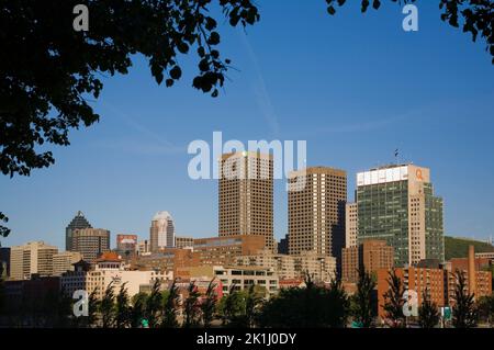 Complexes Desjardins et Hydro Québec bâtis à travers des branches d'arbres feuillus silhouettés au printemps, Montréal, Québec, Canada. Banque D'Images