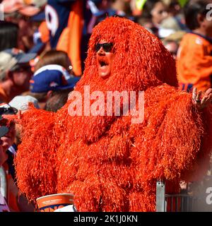 Denver, États-Unis. 18th septembre 2022. 18 septembre 2022: Un homme en costume de acclamations sur les Broncos dans le match de football entre les Broncos de Denver et les Texans de Houston à Empower Field à Denver, CO. Denver a accroché pour gagner 16-9. Derek Regensburger/CSM. Crédit : CAL Sport Media/Alay Live News Banque D'Images