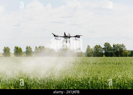 Technologies modernes dans l'agriculture. Un drone industriel survole un champ vert et pulvérise des pesticides utiles pour augmenter la productivité et détruire les ha Banque D'Images