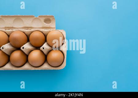 Vue de dessus des œufs de poulet naturels dans le plateau en carton sur fond bleu Banque D'Images