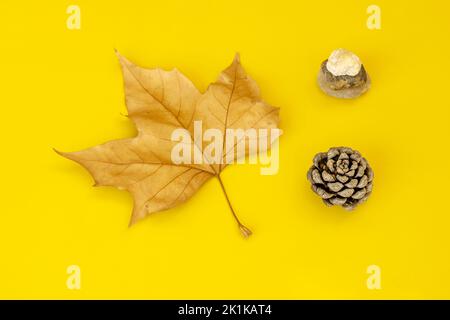 Image automnale avec une feuille sèche, un petit ananas et quelques pierres sur un fond jaune Uni Banque D'Images