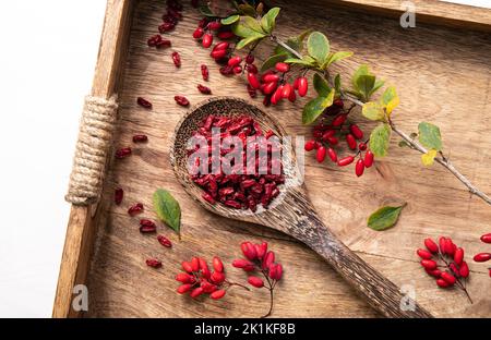 Pile de Berberis vulgaris séchés également connu sous le nom de barberry commune, de barberry européenne ou de barberry sur plaque dans le kicthen domestique. FRU rouge à base de plantes comestibles Banque D'Images