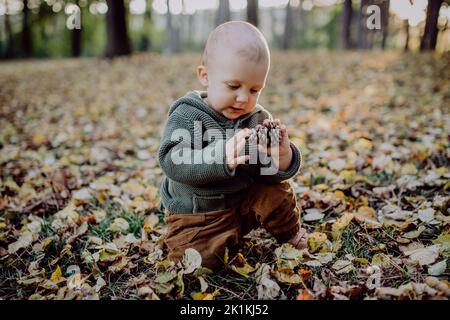 Portrait d'un petit garçon mignon jouant avec le cône de conifère et portant le pull à capuche dans le nouveau concept d'automne. Banque D'Images