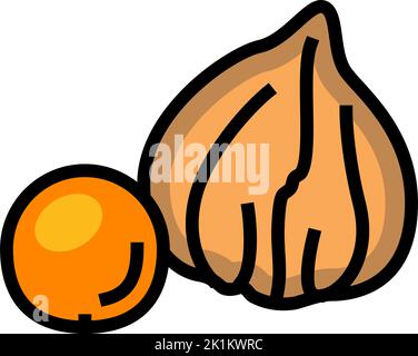 illustration vectorielle de l'icône de couleur d'automne physalis Illustration de Vecteur