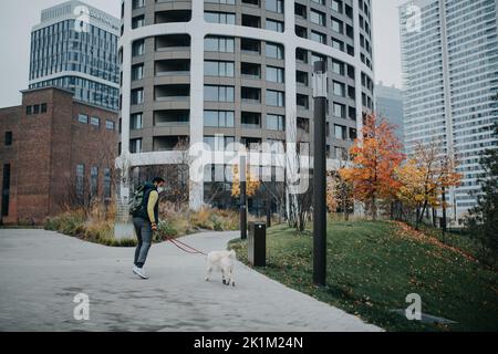 Vue arrière du jeune homme avec masque respiratoire FFP2 en marche avec son chien en laisse à l'extérieur dans le parc de la ville. Banque D'Images