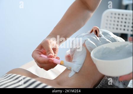 Esthéticienne appliquant le masque facial en argile sur le visage de la femme au salon de beauté. Soins de la peau, esthéticienne, soins spa, hygiène du visage Banque D'Images