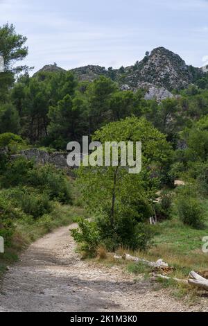 Pays de Van Gogh : les Alpilles dans le sud de la France, souvent peint par Vincent van Gogh. Prise à Saint-Rémy de Provence. Banque D'Images