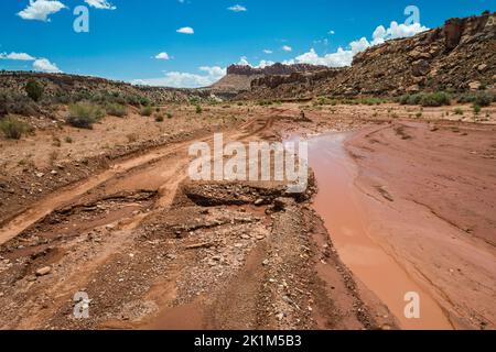 Route de terre endommagée après une inondation éclair, Wolverine Loop Road, près de Horse Canyon, Grand Staircase-Escalante National Monument, près de Boulder, Utah, États-Unis Banque D'Images