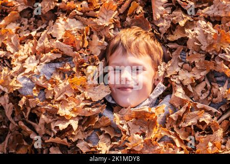 Un garçon de 9-10 ans est enterré dans des feuilles de chêne jaune d'automne dans le parc à rayons de soleil couchant et de sourires. Enfant en chandail gris joue et s'amuse Banque D'Images