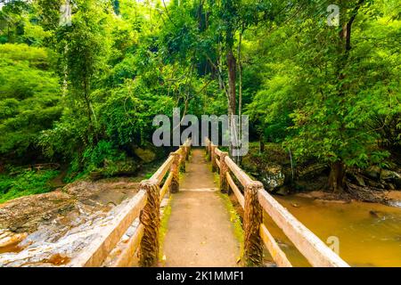 Pont en bois au-dessus de la rivière Mae sa, près de la cascade, Thaïlande. Vieux pont placé dans la forêt tropicale. Arbres verts frais, plantes et pu vibrant Banque D'Images