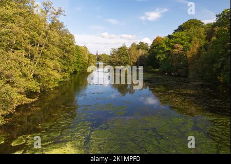 Rivière traversant le parc Clumber avec la chapelle Sainte-Marie-la-Vierge au loin. Banque D'Images