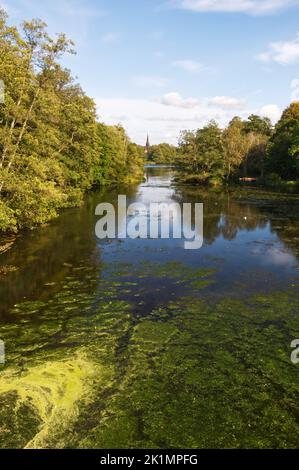 Rivière traversant le parc Clumber avec la chapelle Sainte-Marie-la-Vierge au loin. Banque D'Images