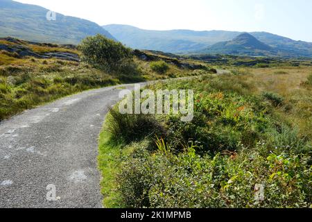 Route à voie unique traversant le paysage du comté de Cork près d'Ardgroom - John Gollop Banque D'Images