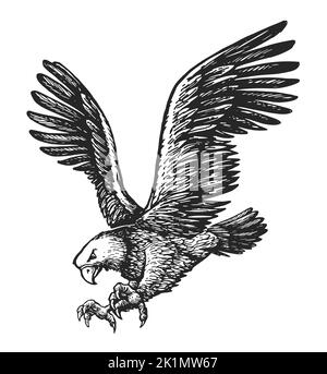 Aigle à tête blanche avec griffes talon vers l'avant et ailes écartent. Esquisse d'oiseau animal. Illustration vectorielle de style gravure vintage Illustration de Vecteur