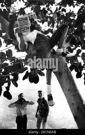 Jeune fille lisant le magazine Personal Love dans un arbre à partir d'un essai de photo sur l'enfance des années 1950. Banque D'Images