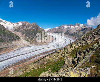 Vue sur le majestueux glacier d'Aletsch et la vallée de glace de Suisse, appelée Aletsch Arena. Toute la région fait partie des Alpes suisses Jungfrau Aletsch un Banque D'Images