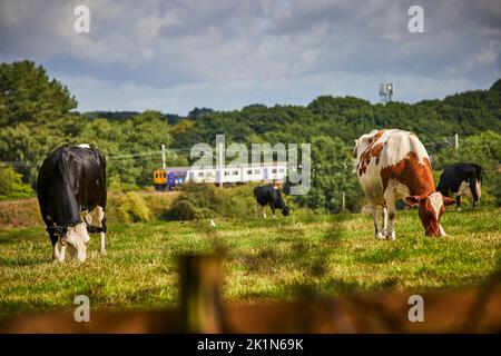 Village de Chelford et paroisse civile à Cheshire, Angleterre, campagne autour du village Banque D'Images
