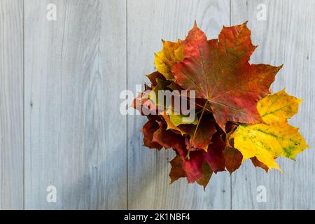 Un bouquet de feuilles d'automne séchées et colorées. Banque D'Images