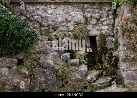 Ancien escalier en pierre historique devant le vieux mur de maçonnerie en ashlar surcultivé avec des plantes vertes et partiellement humide et aucun signe d'intrusion Banque D'Images
