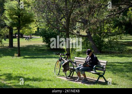 Un seul homme senior assis sur le banc du parc livre de lecture Banque D'Images