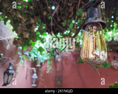 Ampoule rétro lumineuse à LED suspendue en vigne lierre. Bacille de style arabe Banque D'Images