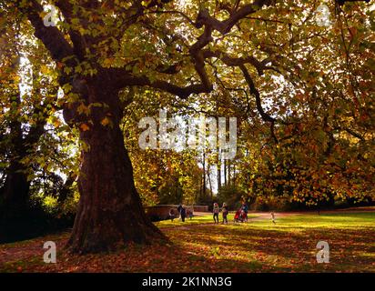 Le soleil brille à travers les feuilles d'automne tandis que les visiteurs de l'abbaye de Mottisfont près de Romsey, Hampshire, profiter au maximum du temps chaud d'octobre. Pic Mike Walker,2014 Mike Walker photos Banque D'Images