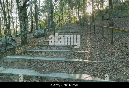 sentier de randonnée avec escaliers en pierre et feuilles en automne Banque D'Images