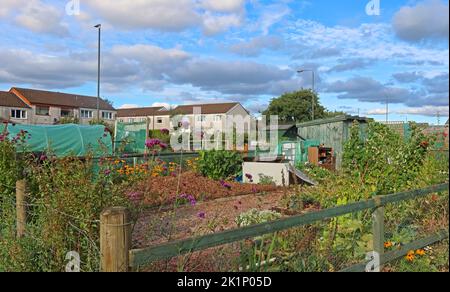 GAFA, Glossopdale action pour les allotements, Gamesley Estate, Melandra Castle Road, Gamesley, High Peak, Angleterre, ROYAUME-UNI, SK13 0BN Banque D'Images