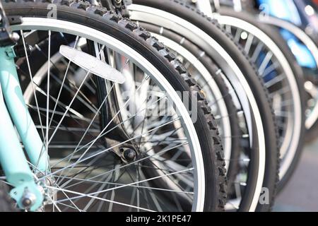 Boutique de vélos et rangées de nouveaux vélos Banque D'Images