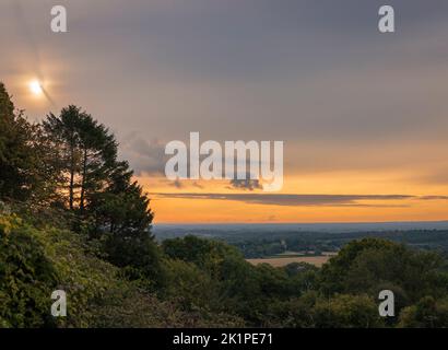 Septembre matin lever du soleil d'une colline d'arbre sur le Kent Nord Downs sud-est Angleterre Royaume-Uni Banque D'Images