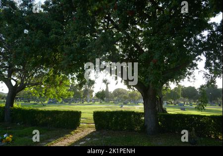 Costa Mesa, Californie, États-Unis 17th septembre Parc commémoratif de Lawn-Mt Olive à 17 septembre 2022, Costa Mesa, Californie, États-Unis. Photo par Barry King/Alay stock photo Banque D'Images