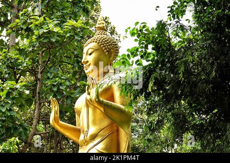 Le Bouddha d'or couvert par des arbres verdoyants Banque D'Images