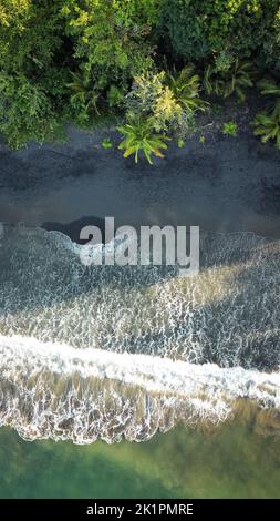 Une photo aérienne verticale d'une vague de plage mousseuse touchant le littoral avec des arbres Banque D'Images