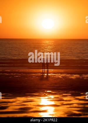 Wednesday 10 August 2022 - Newquay, Cornwall, UK; A Surfer is seen making the most of the golden sun on Fistral Beach in Newquay as Boardmasters Festi Stock Photo