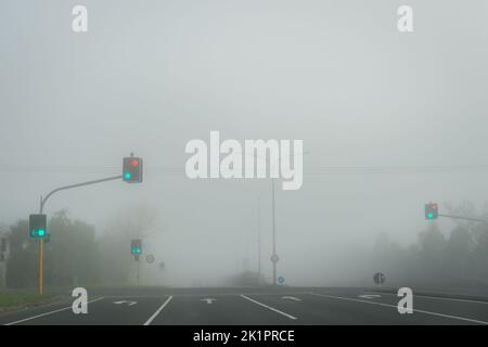 Feux de signalisation verts avec voitures non distinctives dans le brouillard. Concept de l'avenir brumeux. Banque D'Images