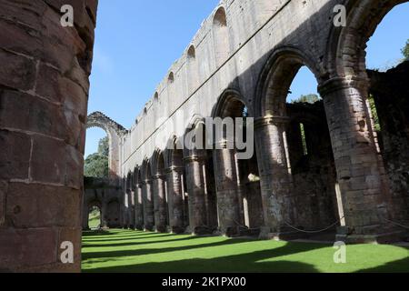 Intérieur de l'église en ruines de l'abbaye de Fountains qui regarde la nef, dans le North Yorkshire, Angleterre, Royaume-Uni. Banque D'Images