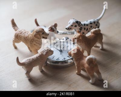 Figurine chien et montre de poche Banque D'Images