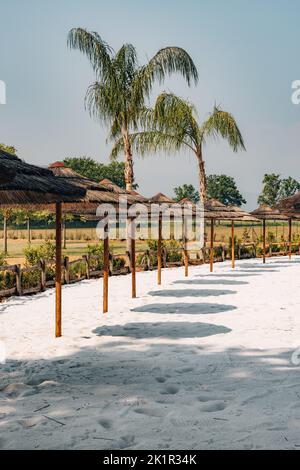 Une photo verticale de rangées de parasols en chaume sur le sable blanc du parc. Banque D'Images