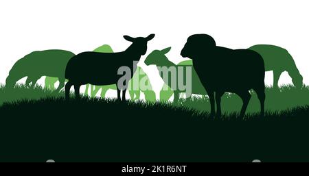 Les moutons se broutent dans les pâturages. Silhouette de l'image. Animaux de la ferme. Animaux domestiques laine. Isolé sur fond blanc. Vecteur. Illustration de Vecteur