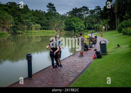 Visiteurs photographiant des oiseaux au lac Symphony, dans les jardins botaniques de Singapour, fondé en 1859 et couvrant 82 hectares. Banque D'Images