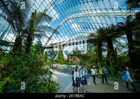 Visiteurs marchant sous le dôme de verre de la Forêt de nuages, dans les jardins près de la baie, Marina Bay Singapour Banque D'Images