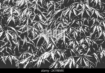 Texture macro de feuilles de bois en relief avec stries. Fond noir et blanc grunge. Illustration vectorielle abstraite de demi-teinte Illustration de Vecteur