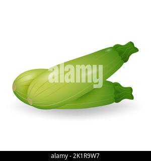 Courge zucchini isolée sur fond blanc. Légumes frais. Illustration vectorielle. Illustration de Vecteur