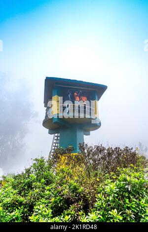 Moir point est situé à l'entrée de la forêt, cette destination populaire avec une tour de guet offre une vue panoramique sur les montagnes de la vallée, 18-08-22. Banque D'Images