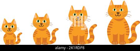Illustration graphique vectorielle isolée d'un joli chat de dessin animé orange souriant avec des yeux verts qui grandissent, y compris un ensemble de différents âges Illustration de Vecteur